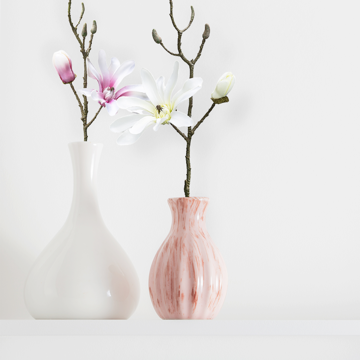 Tige de Magnolia