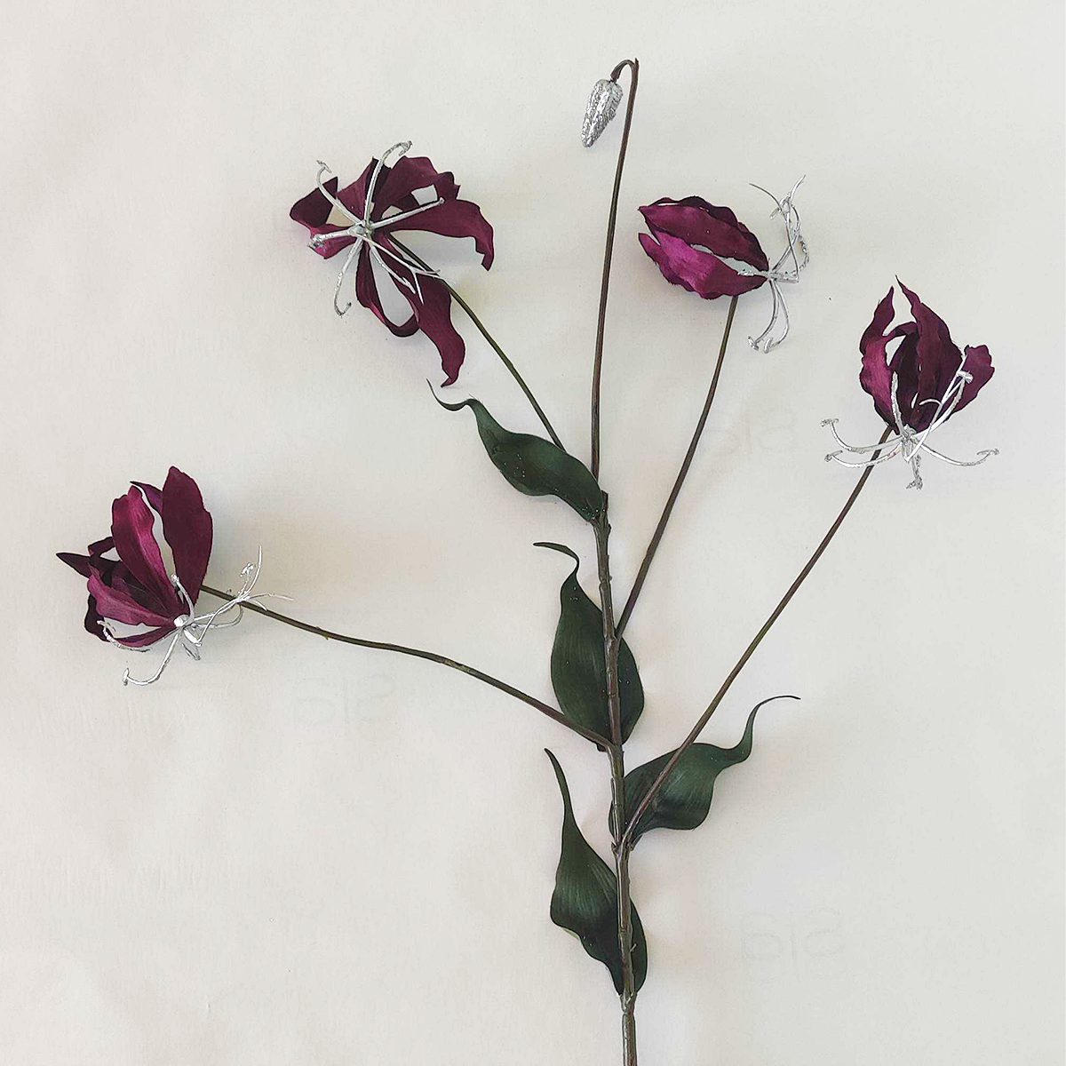 Tige de Gloriosa Amy Pailletée