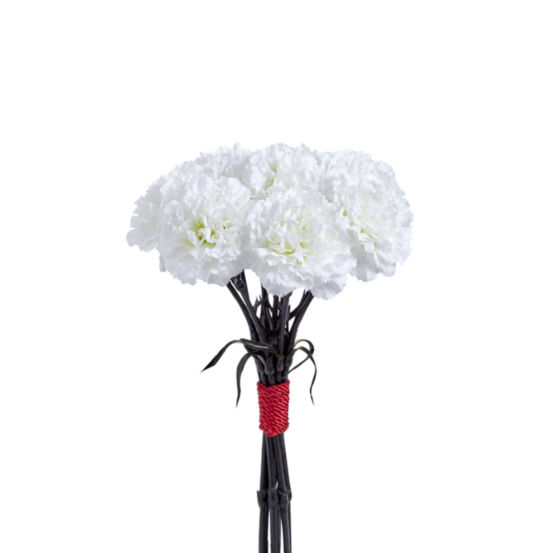 Bouquet d'Oeillets