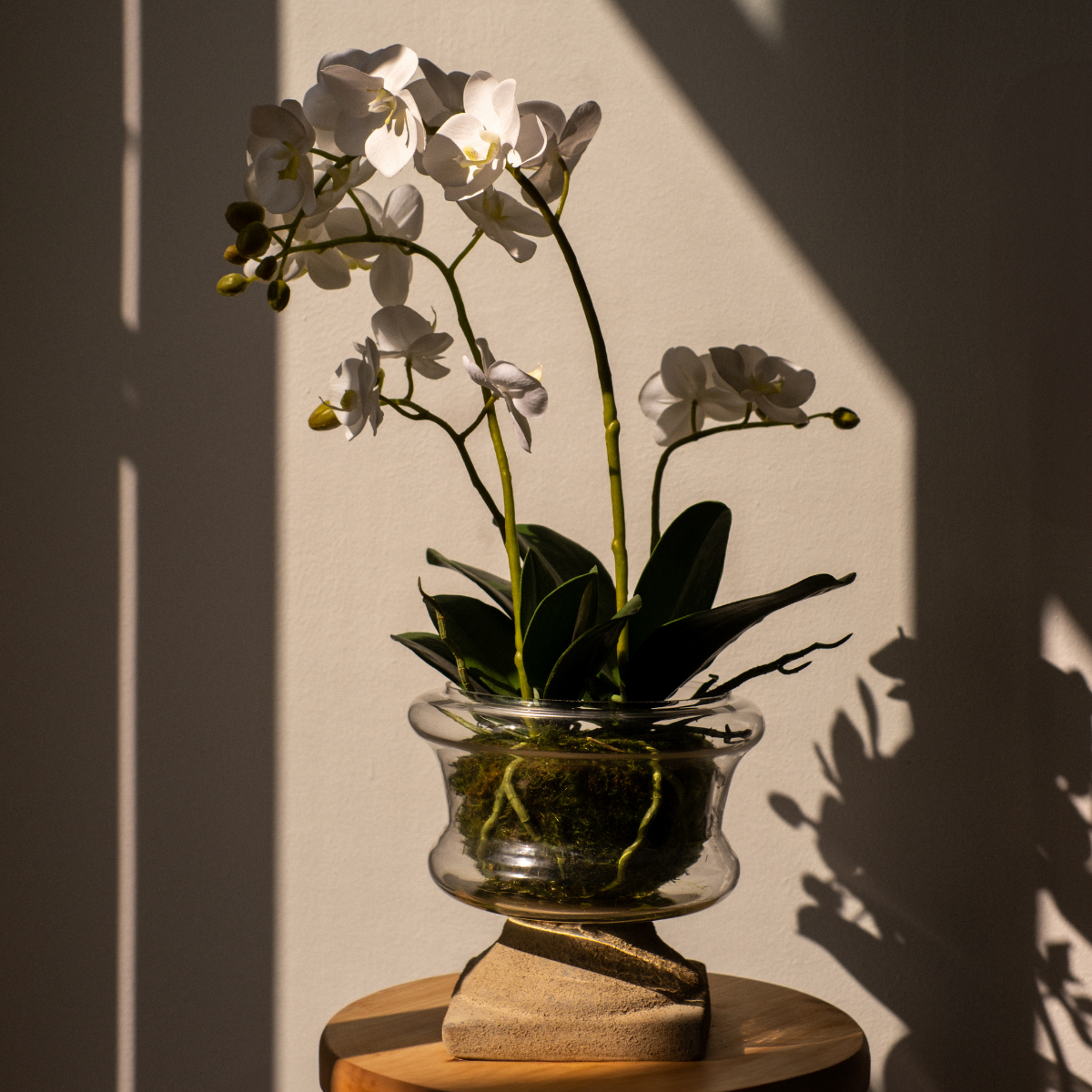 Composizione d'Orchidée Artificielle formato Petit