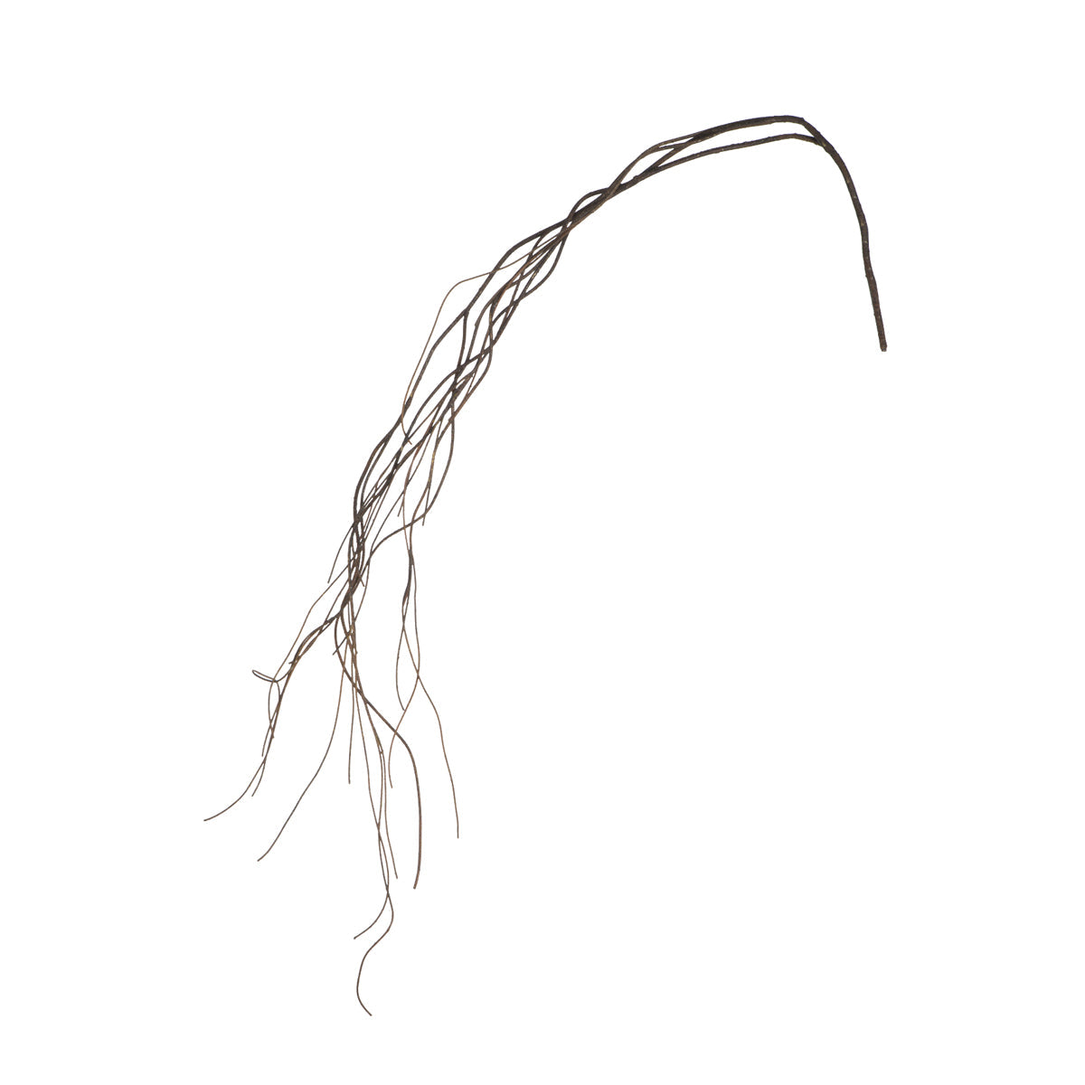 Branche tombante effetto bois séché