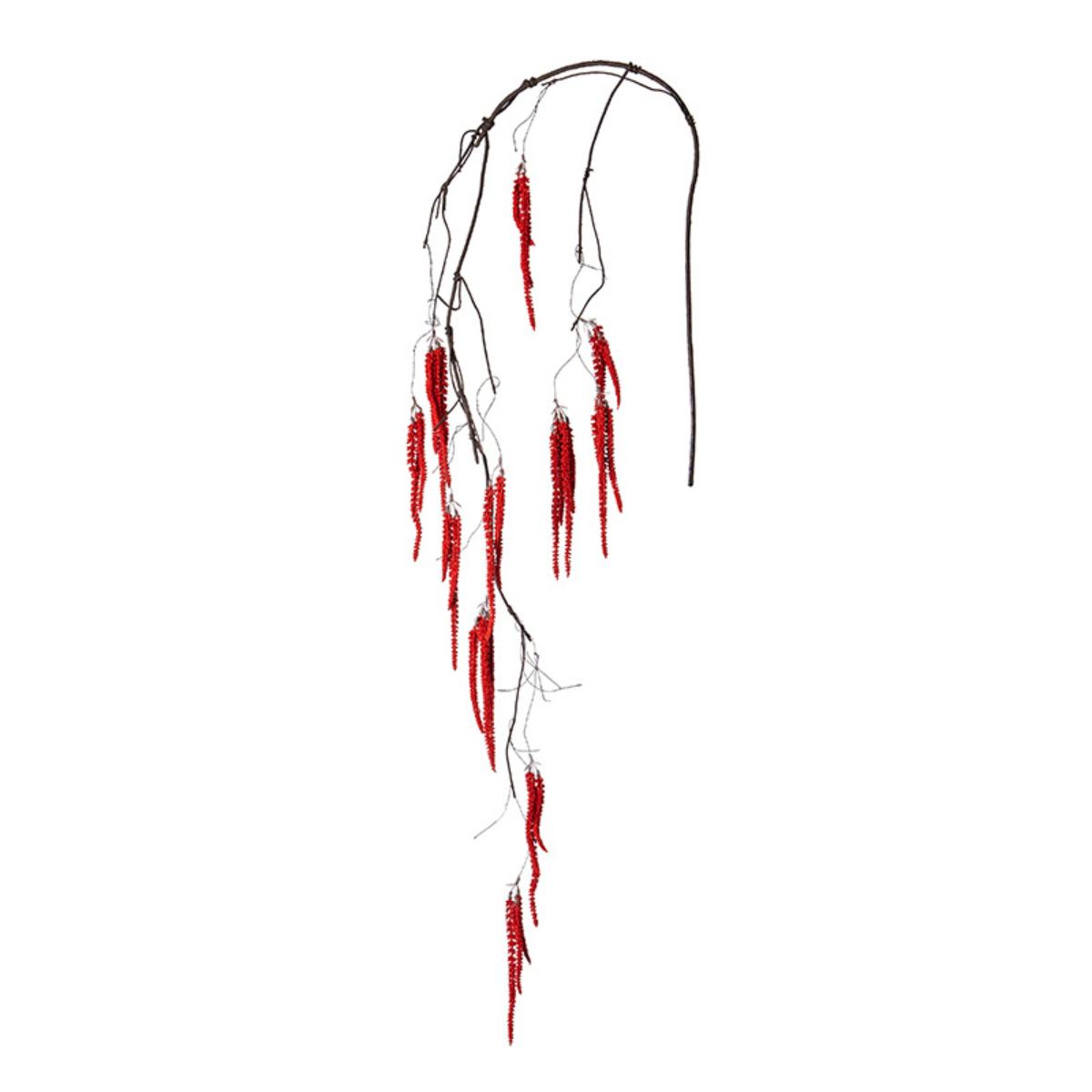 Feuillage Amaranthus Tombant