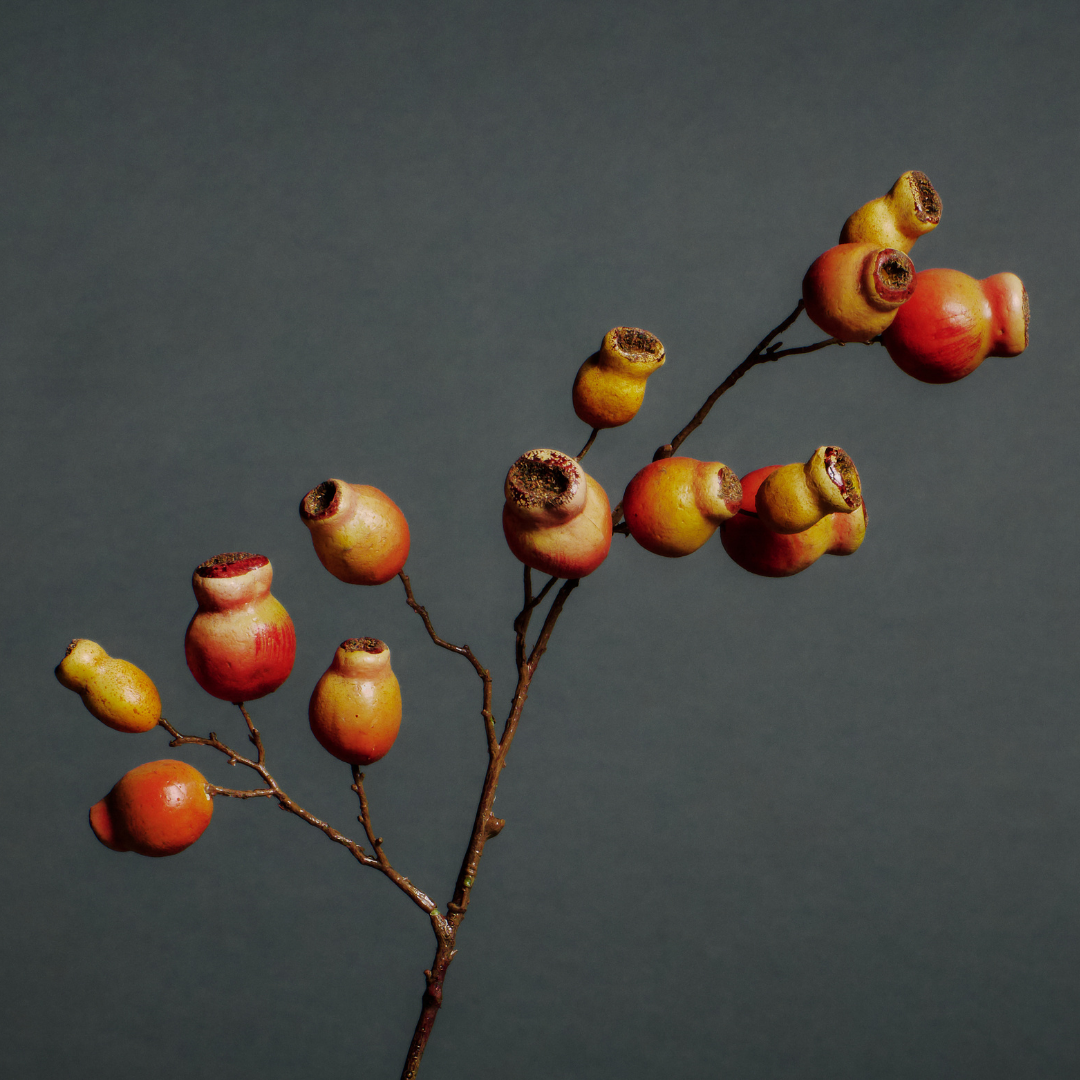 Branche Églantier