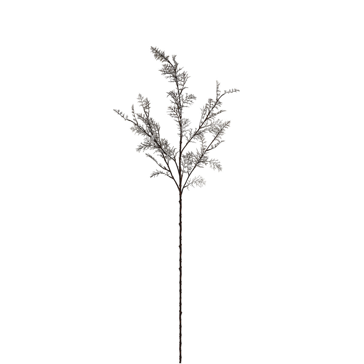 Branche Enneigée Noël