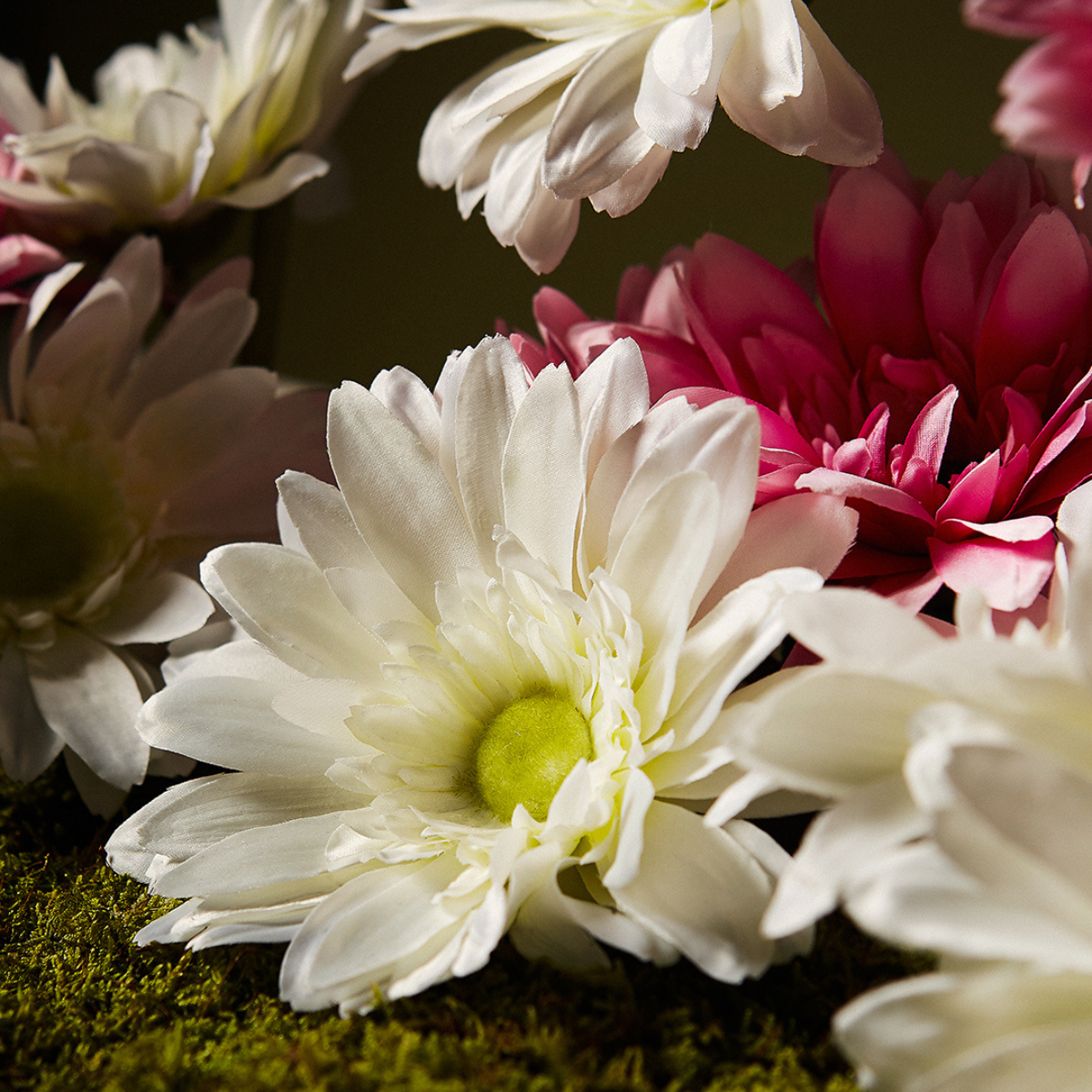 Tige de Gerbera