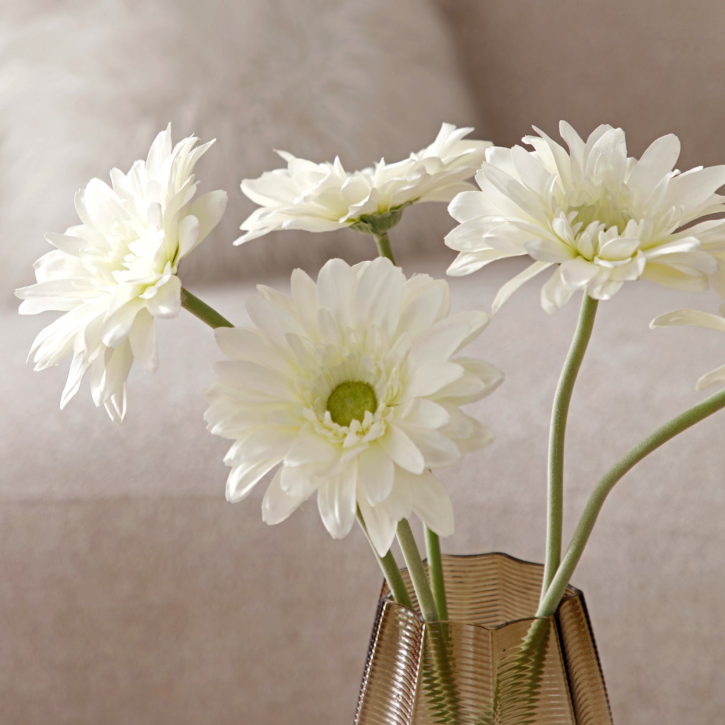 Tige de Gerbera