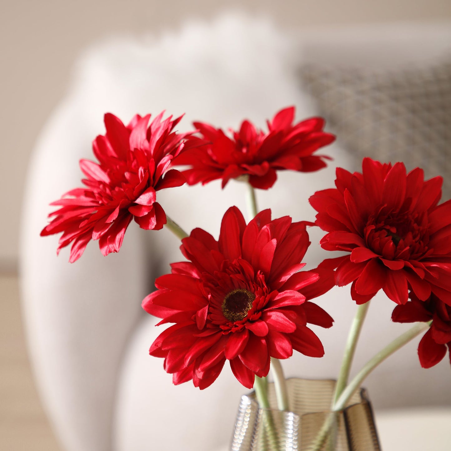 Tige de Gerbera