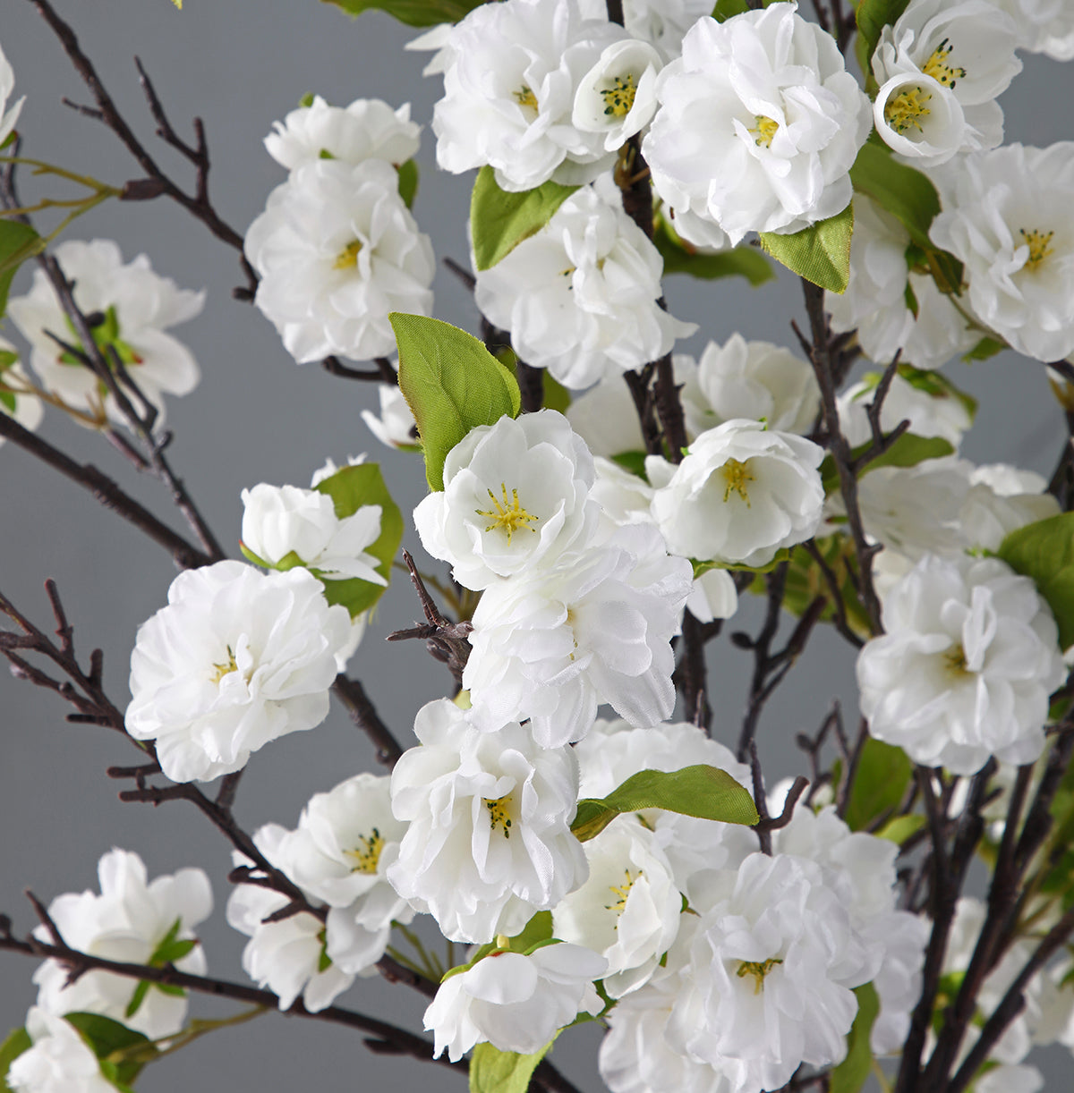 Tige de Fleurs de Cerisier