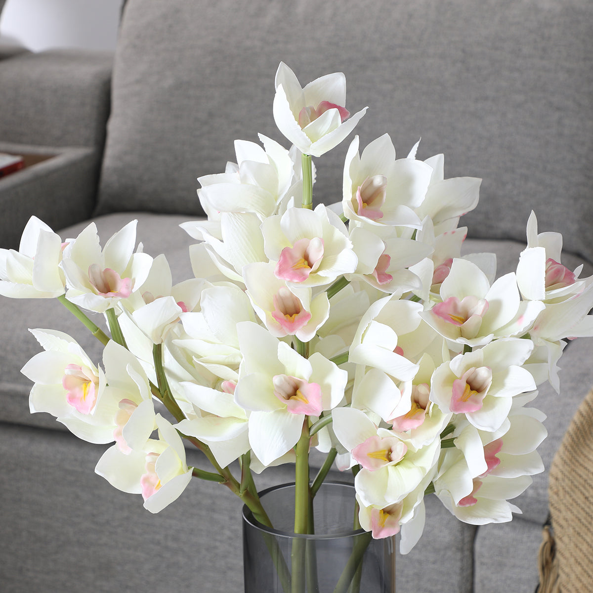 Tige d'Orchidée Cymbidium