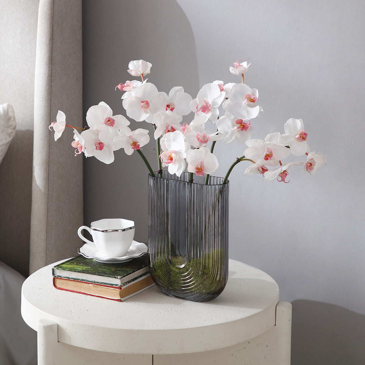 Tige d'Orchidée Phalaenopsis