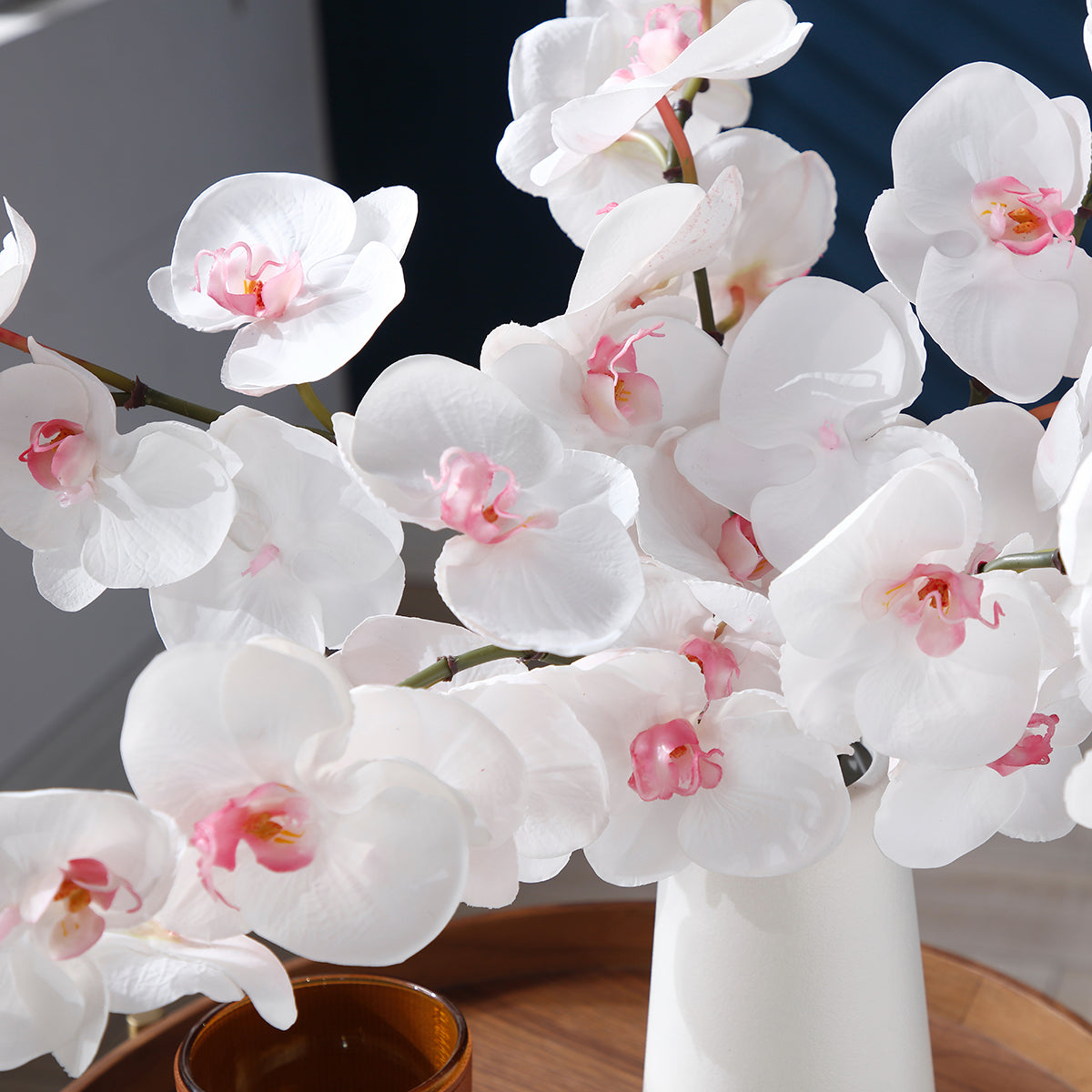 Tige d'Orchidée Phalaenopsis