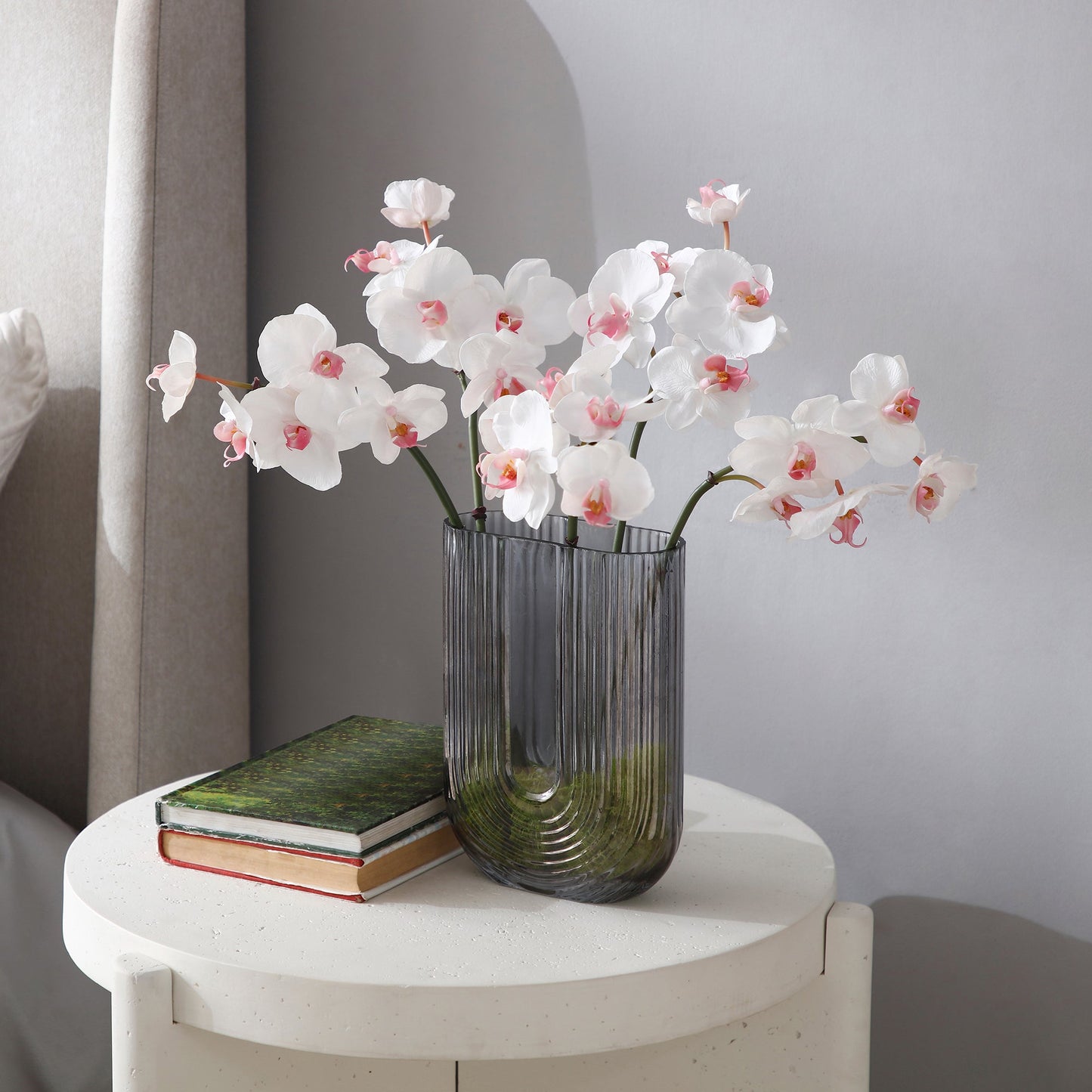 Tige d'Orchidée Phalaenopsis
