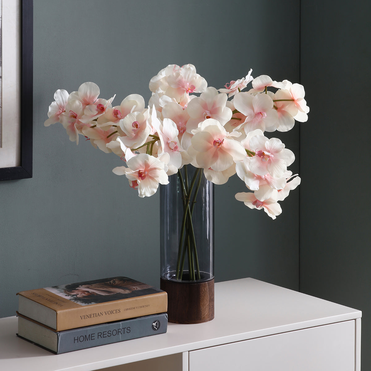 Tige d'Orchidée Phalaenopsis