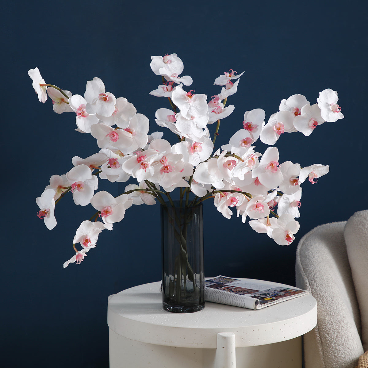 Tige d'Orchidée Phalaenopsis