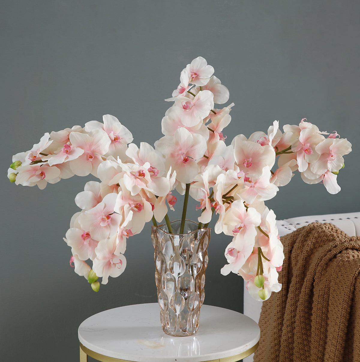Tige d'Orchidée Phalaenopsis