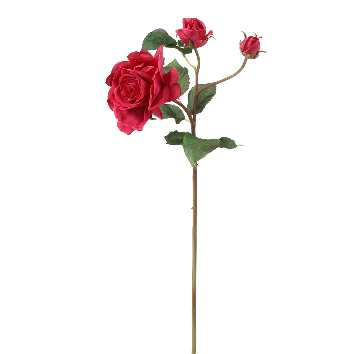 Tige de Rose Avec Bourgeon
