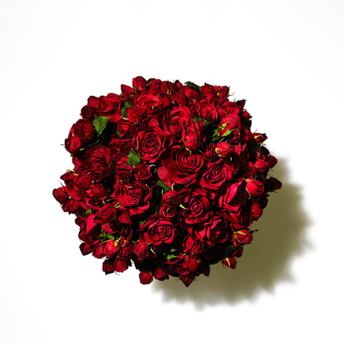 Tige de Rose Avec Bourgeon
