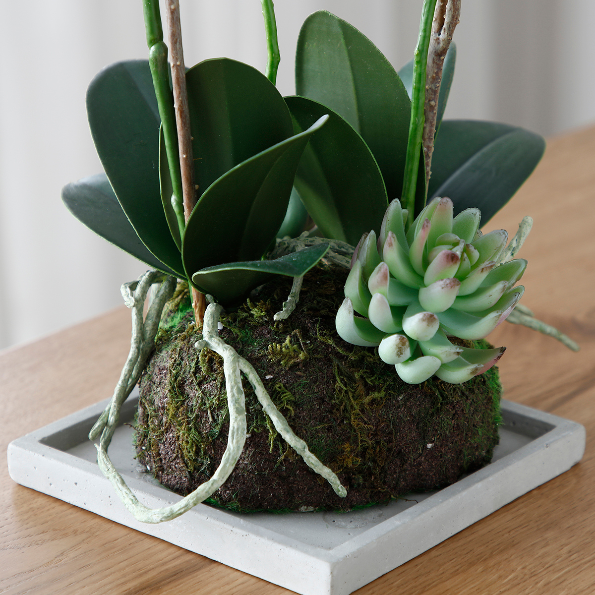 Composizione d'Orchidée Artificielle et de Succulentes