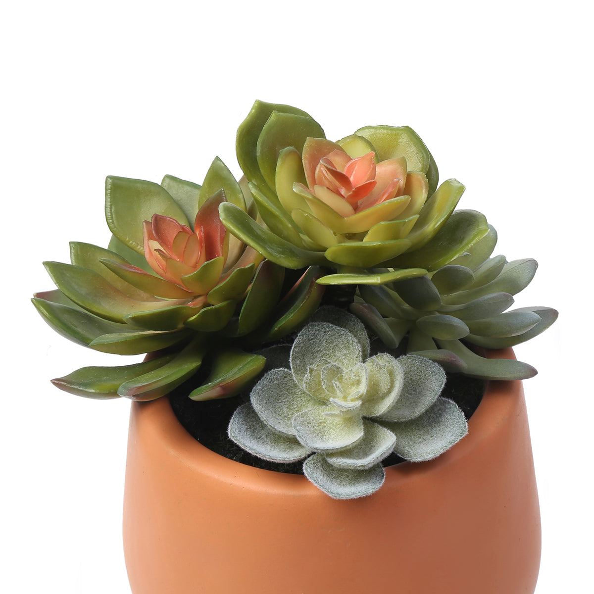 Succulente artificiale in vaso