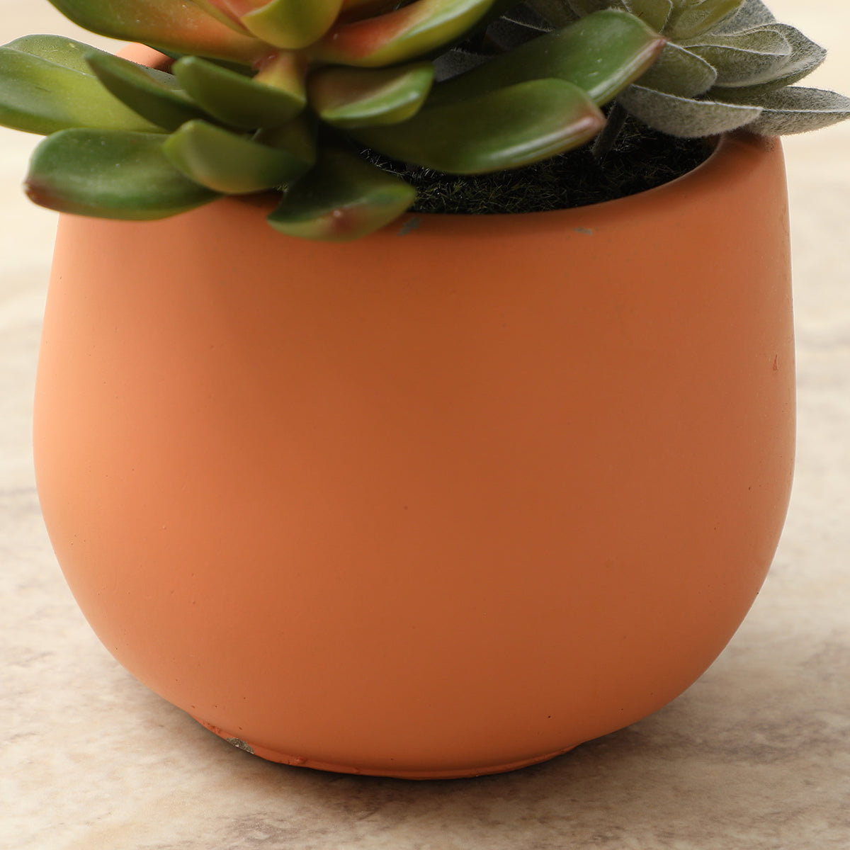 Succulente artificiale in vaso
