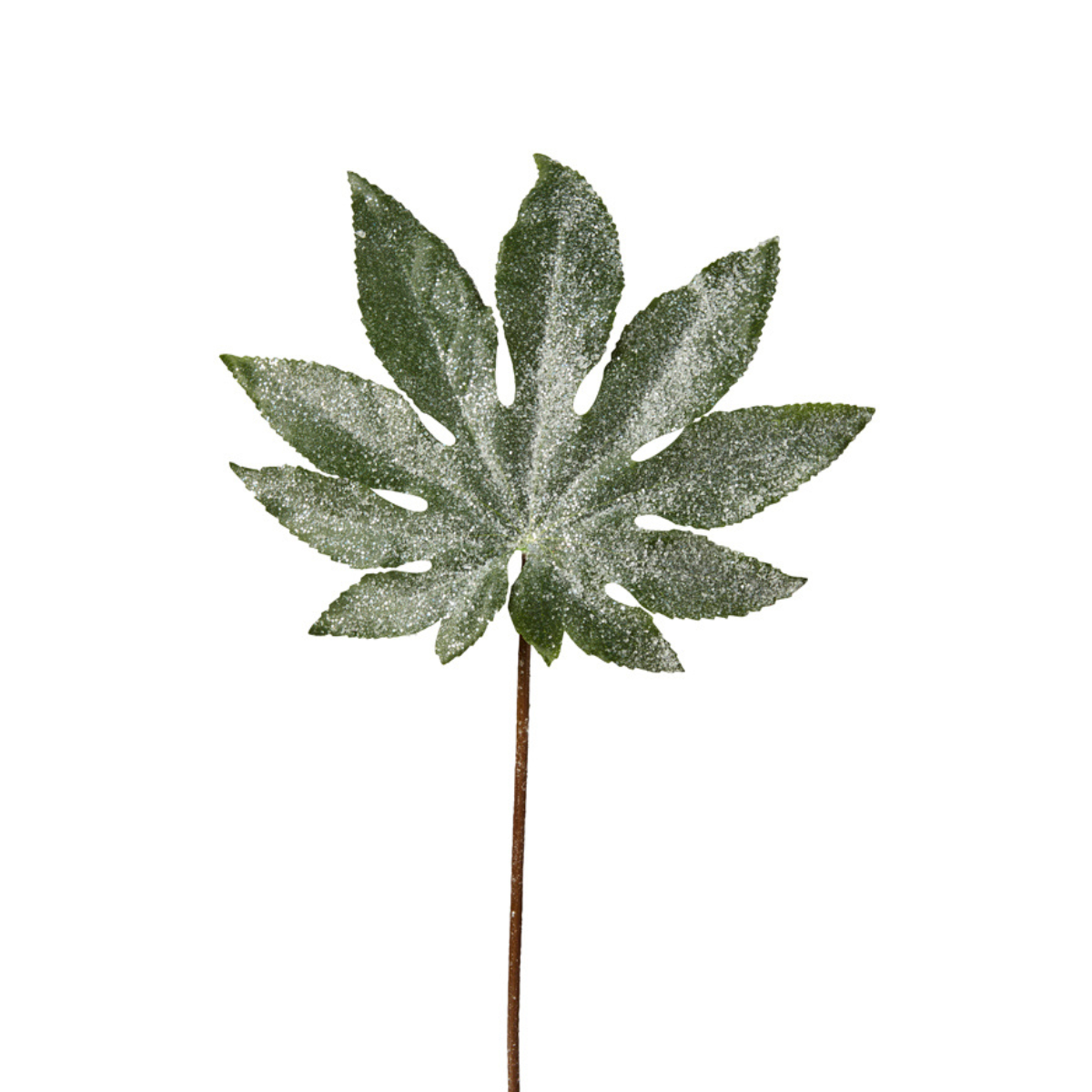 Feuille Aralia Pailletée