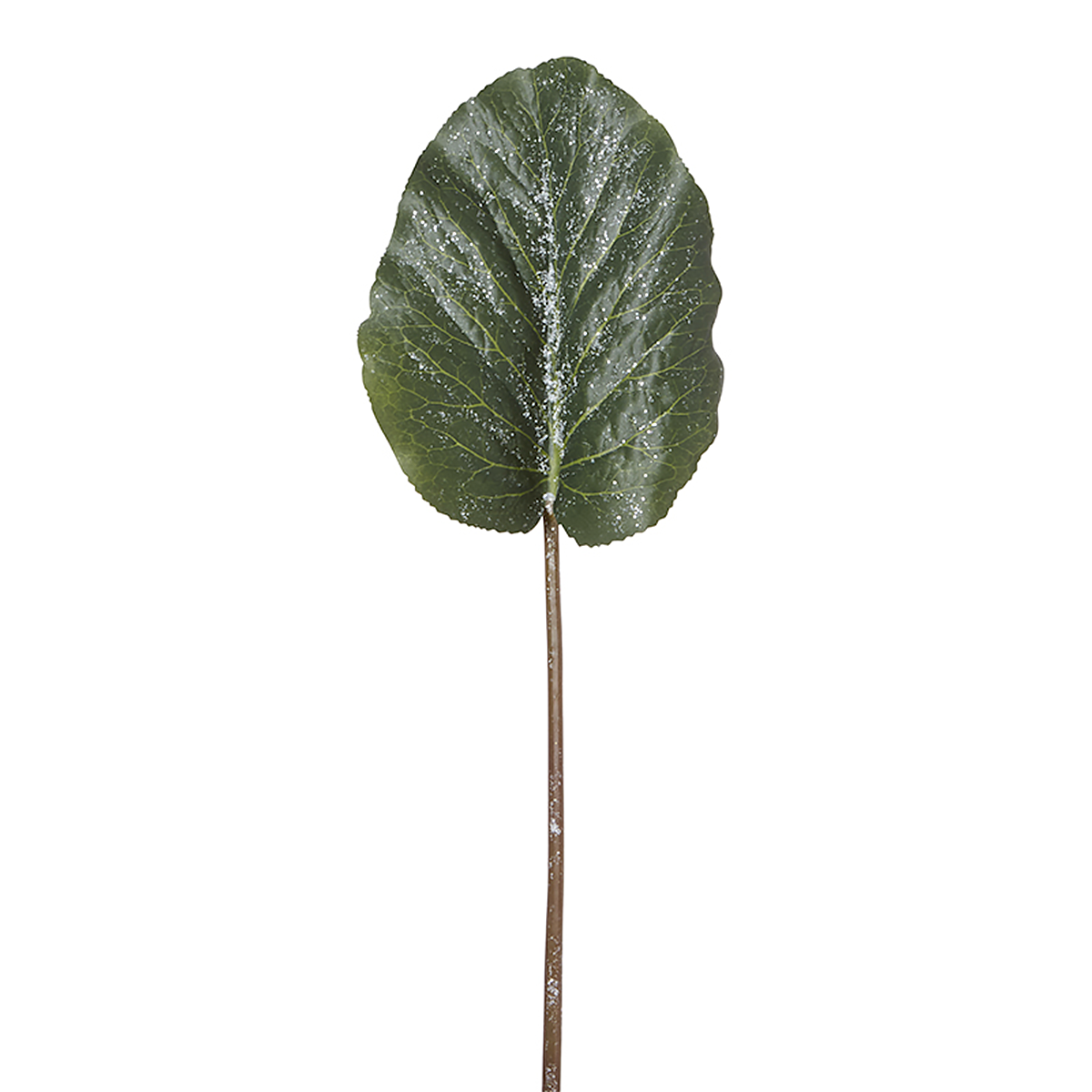 Feuille Hosta Pailletée