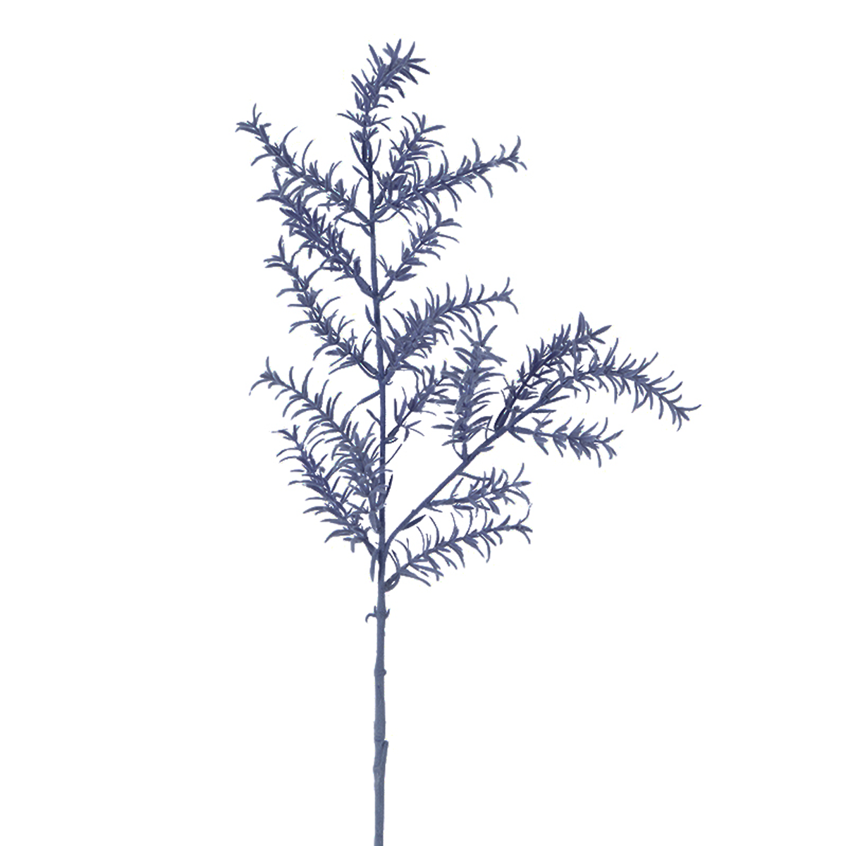 Feuillage Sedum Givré Petit Formato