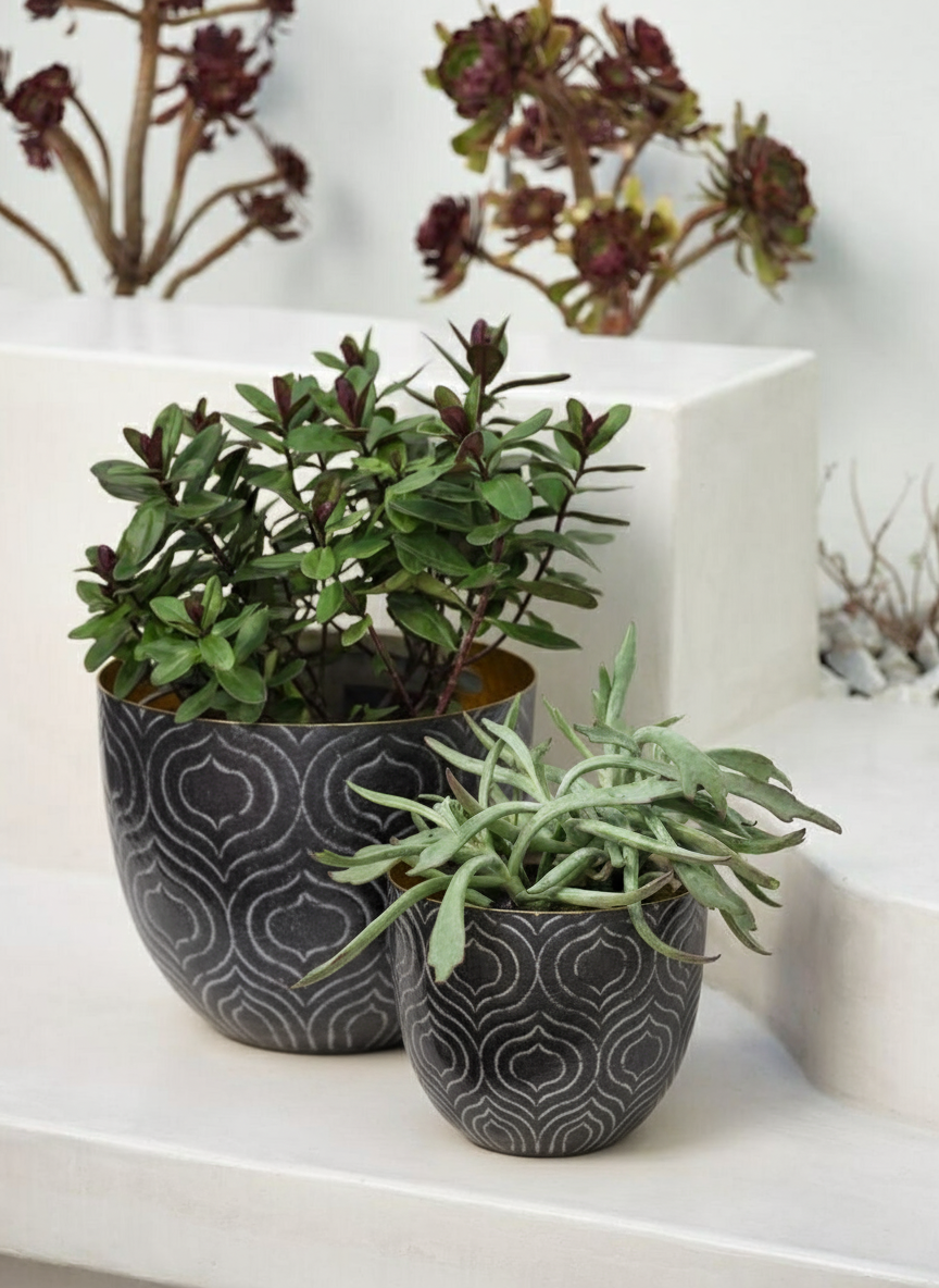 Cache-Pots Baltazar