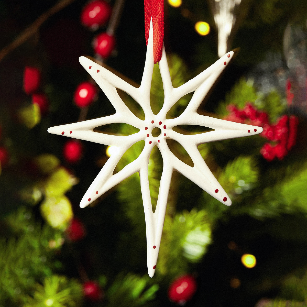 Sospensione di Noël Flocon Lappi