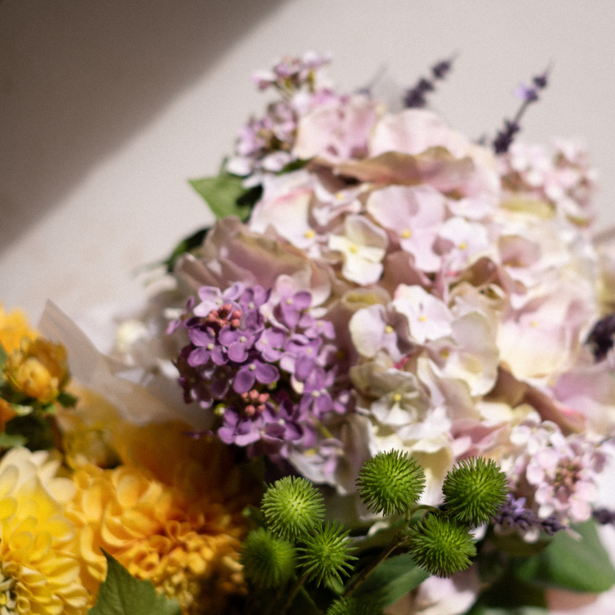Tige de Lilas Petit Format