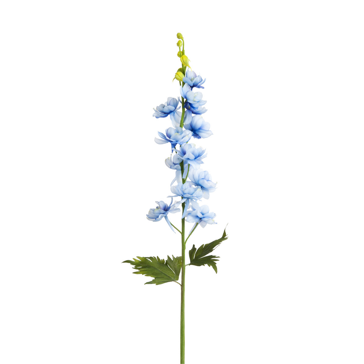 Tige de Delphinium Petit Formato
