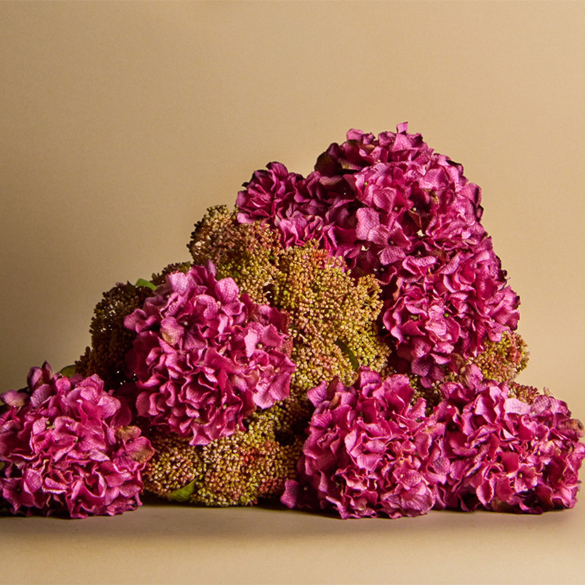 Fogliame di Sedum