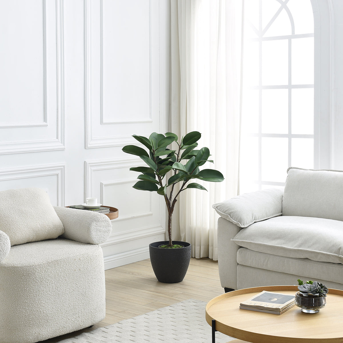 Ficus in vaso 115cm