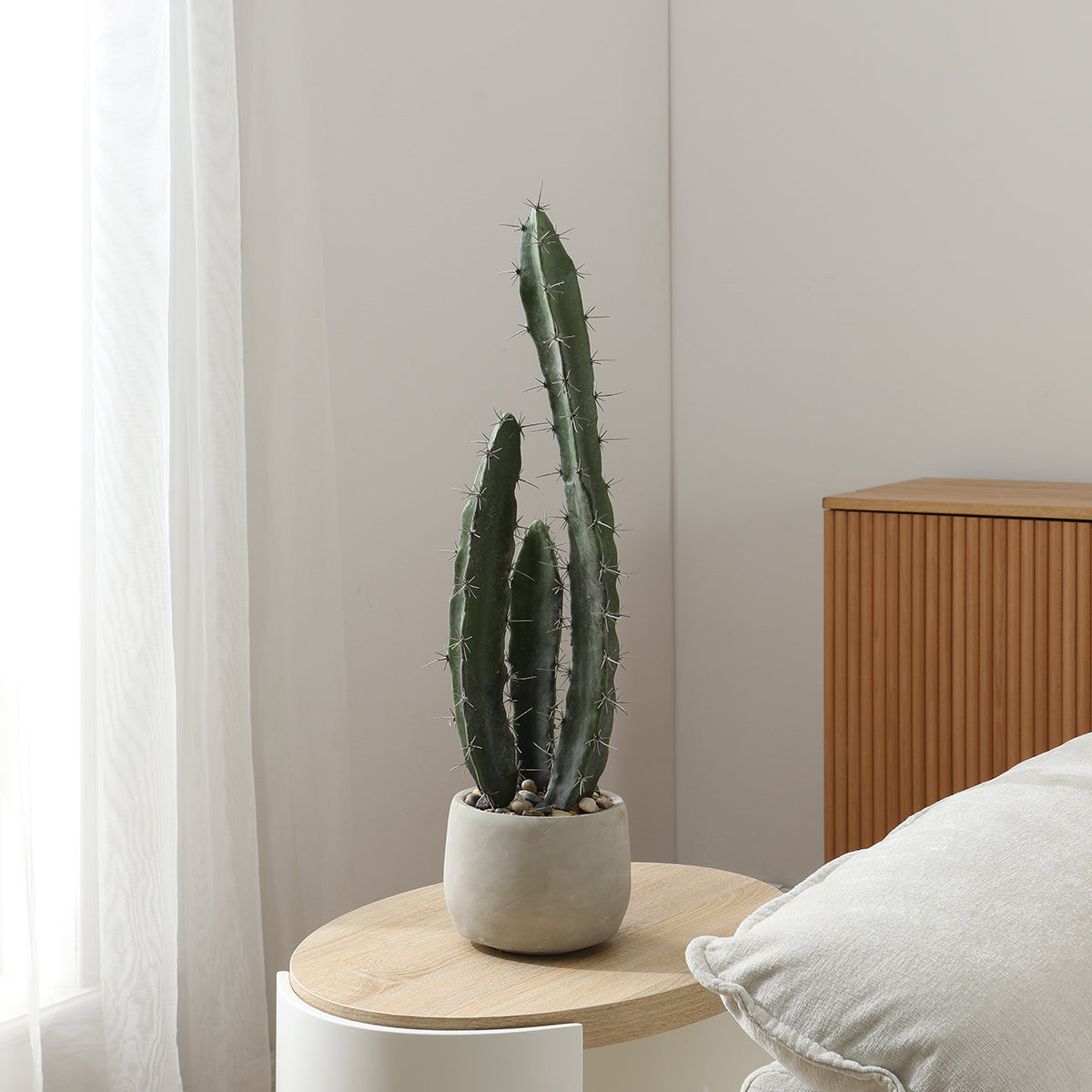Cactus in un vaso in ceramica 64 cm