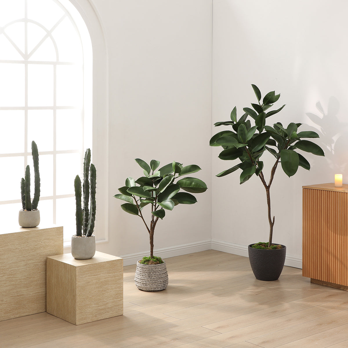 Cactus in un vaso in ceramica 64 cm
