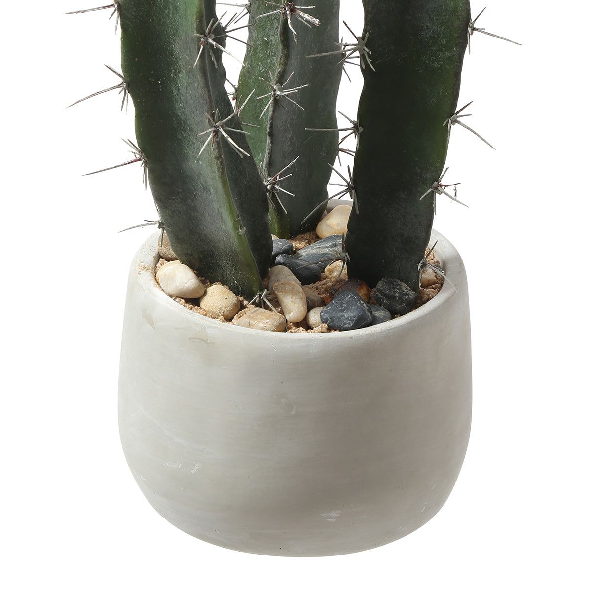 Cactus in un vaso in ceramica 64 cm