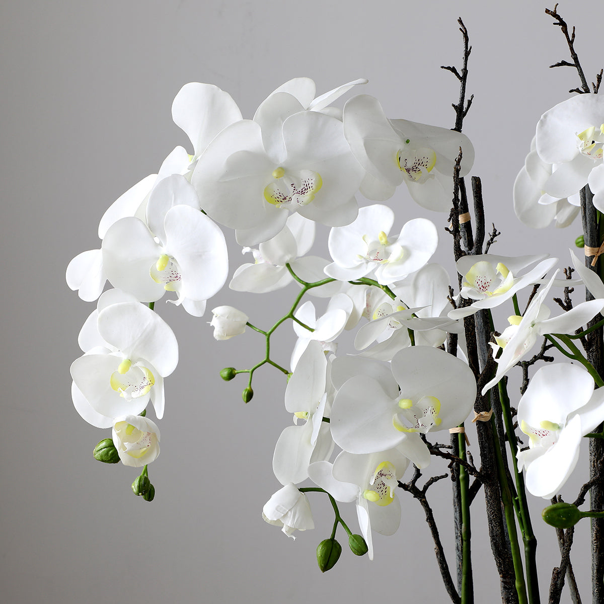 Composizione d'Orchidée Artificielle con mousse 90cm