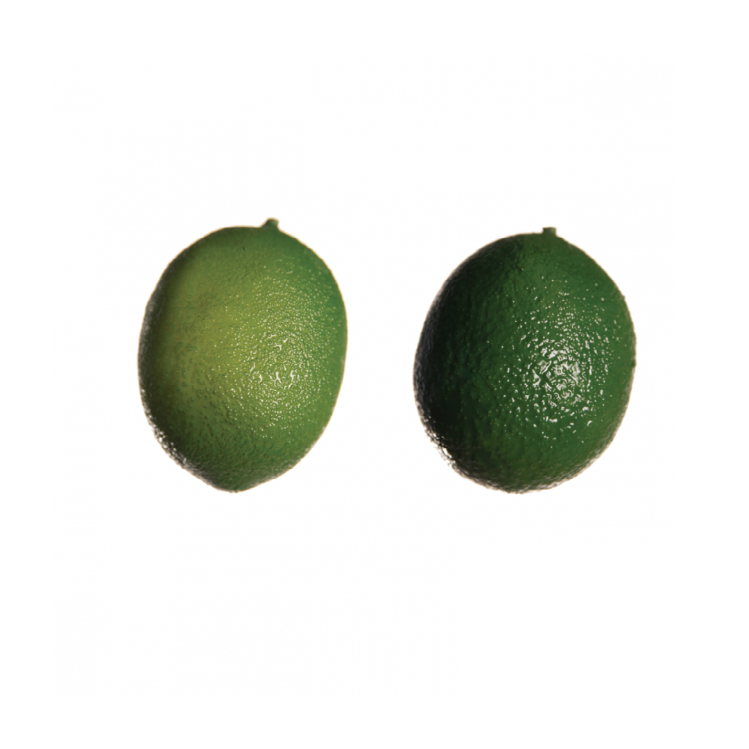 Citron Artificial