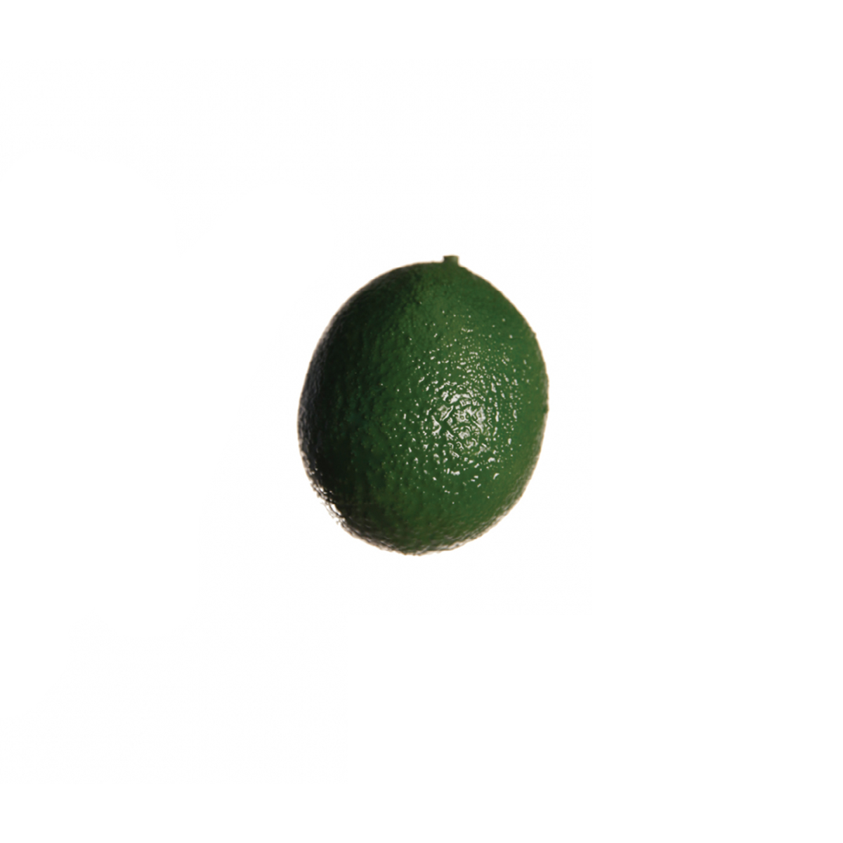 Citron Artificial