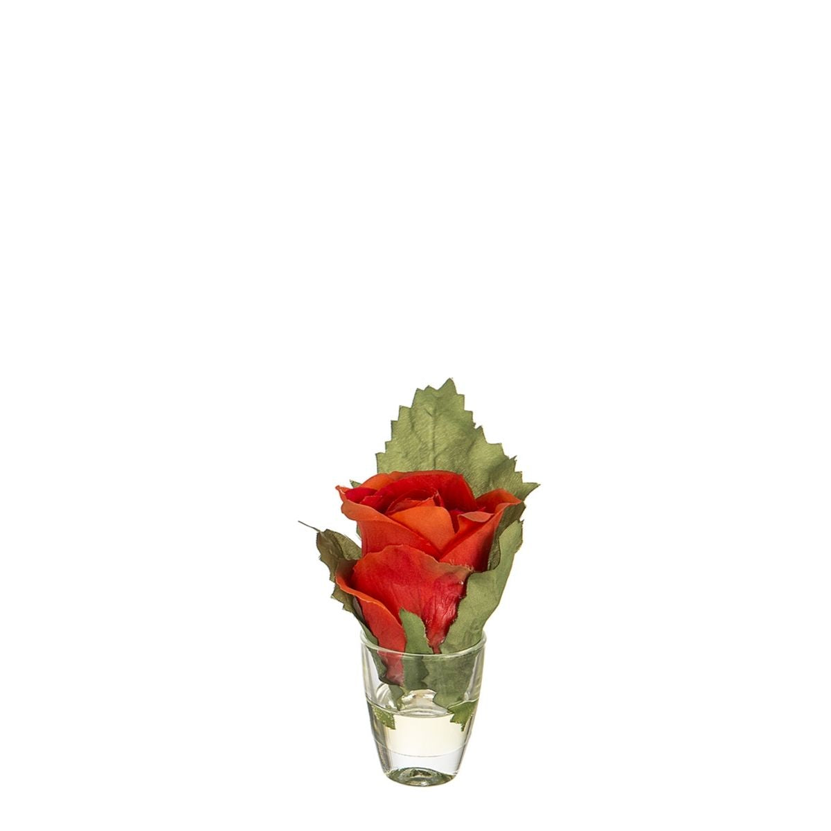 Rosa con foglia e illusione d'acqua