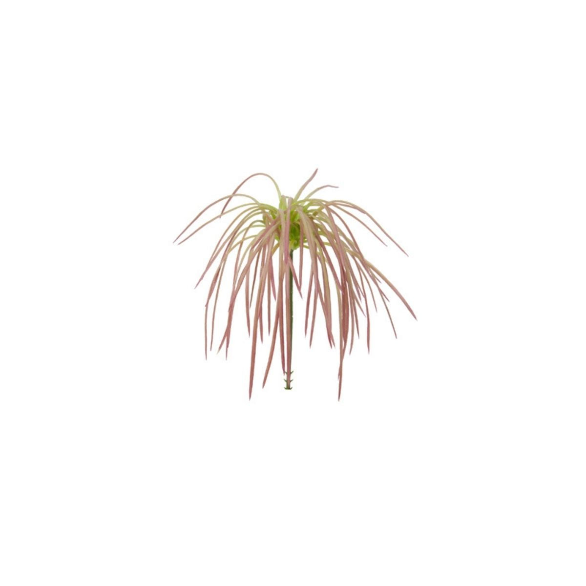 Feuillage d'herbes tombantes