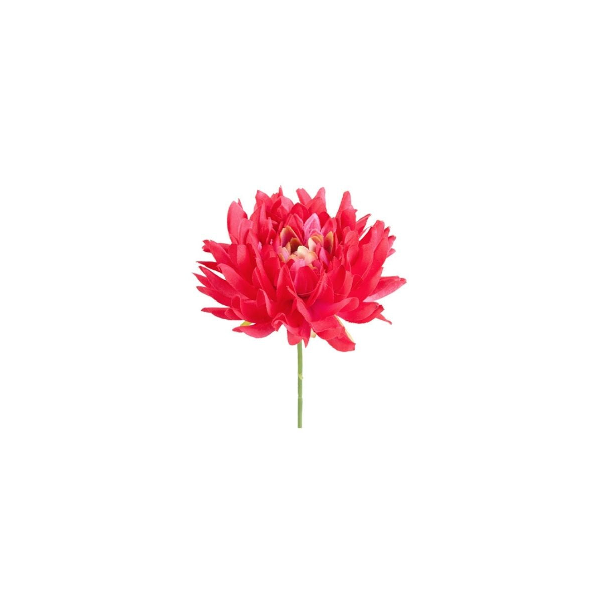 Tige de Chrysanthème à piquer dans de la mousse