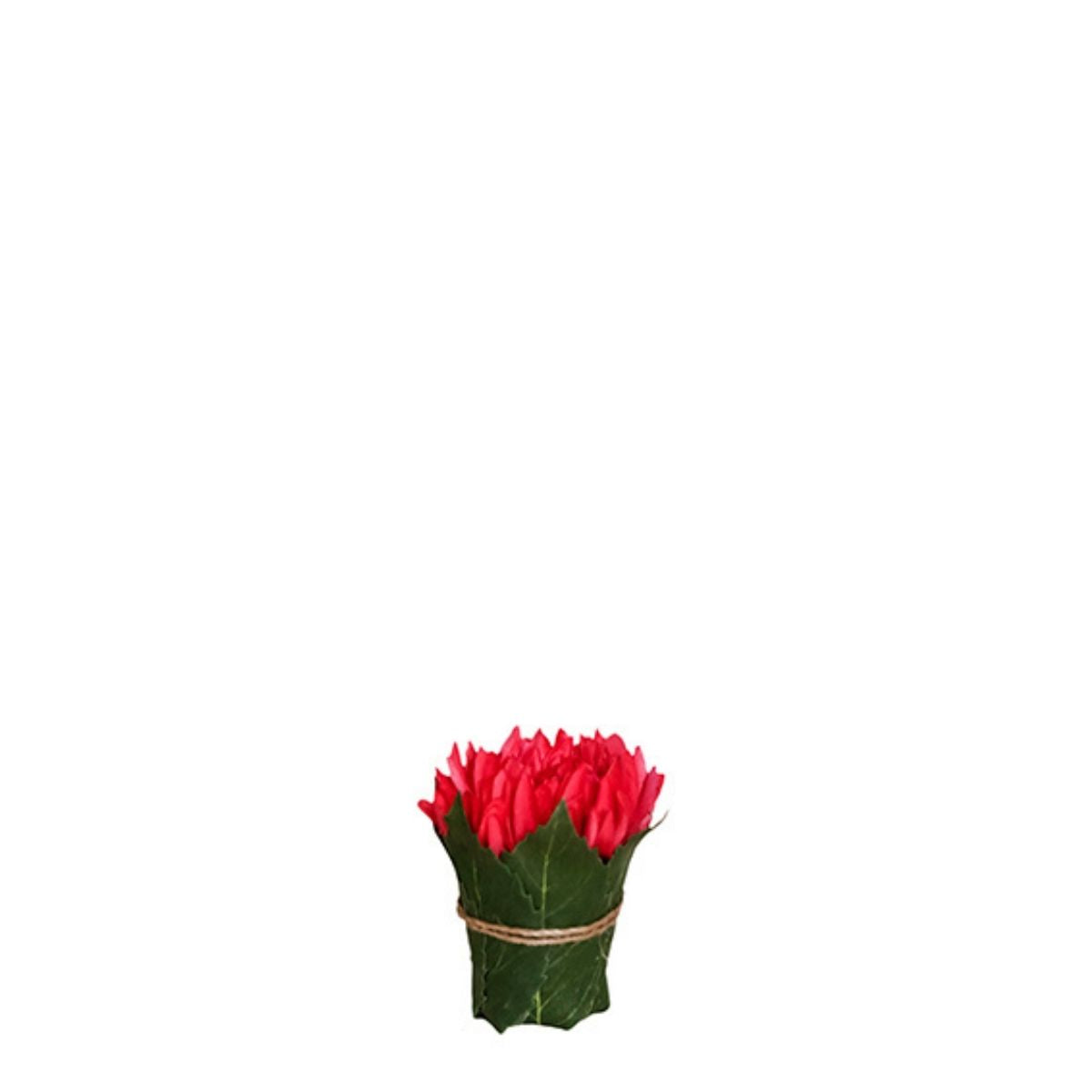 Composizione Chrysanthème entouré de feuilles