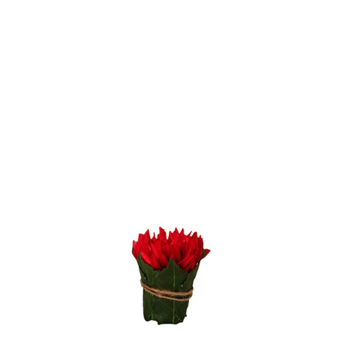 Composizione Chrysanthème entouré de feuilles