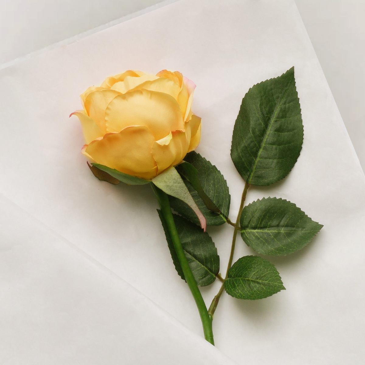 Tige de rose Maria Impermeabile ouverte