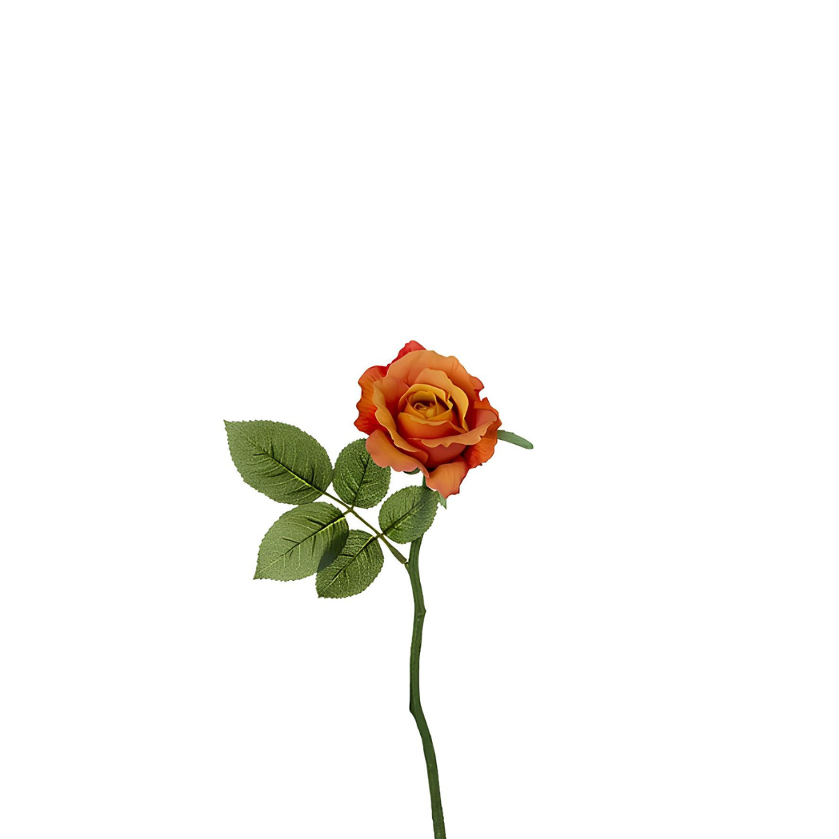 Tige de rose Maria Impermeabile ouverte