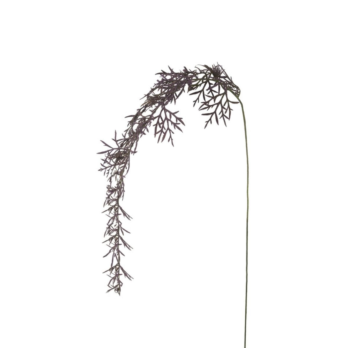 Feuillage Herbe tombante