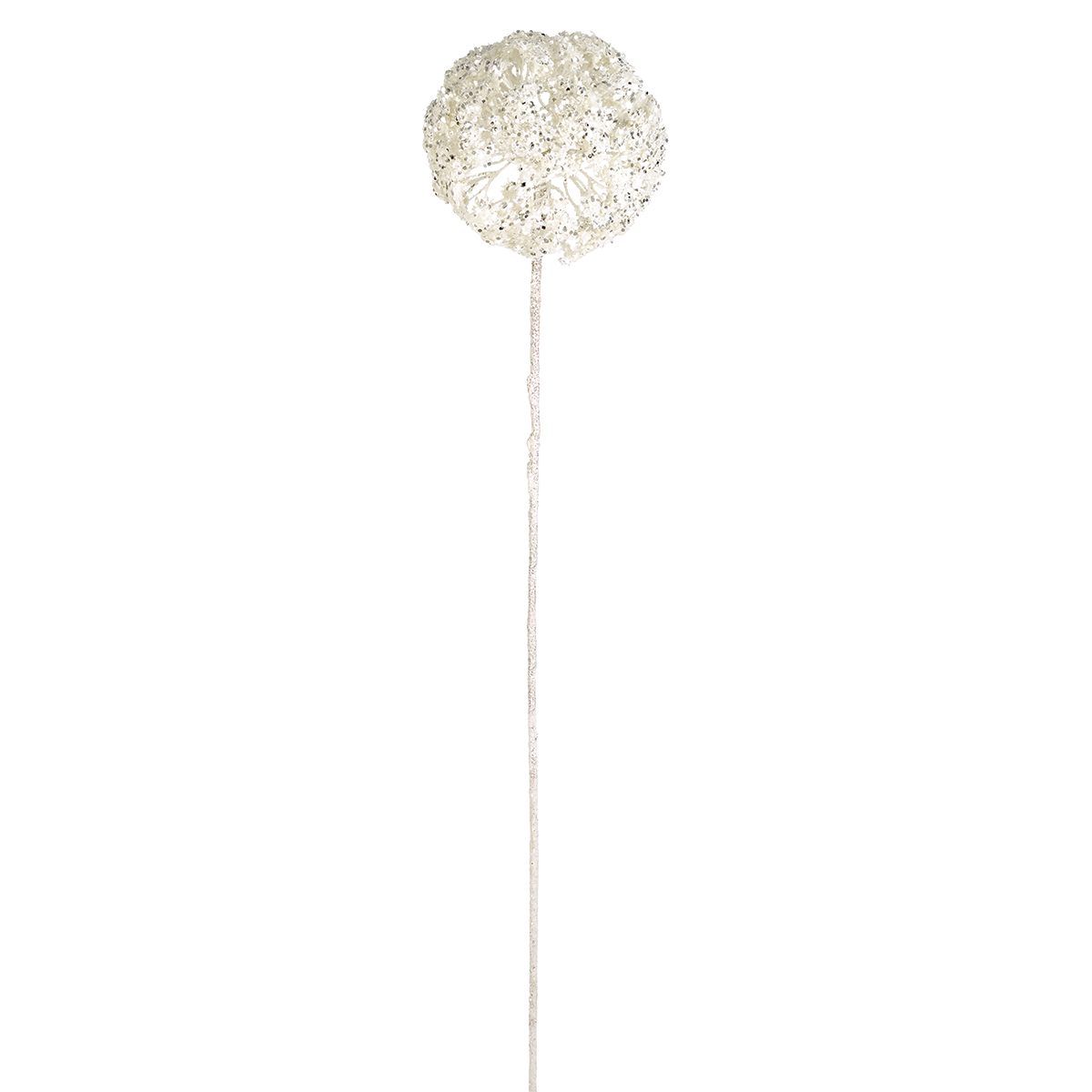 Tige d'Allium Pailleté Azia