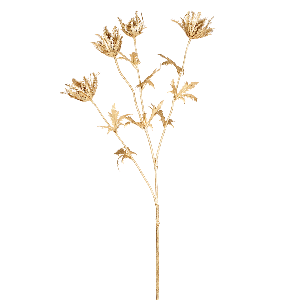 Tige de Chardon Doré Grande Formato