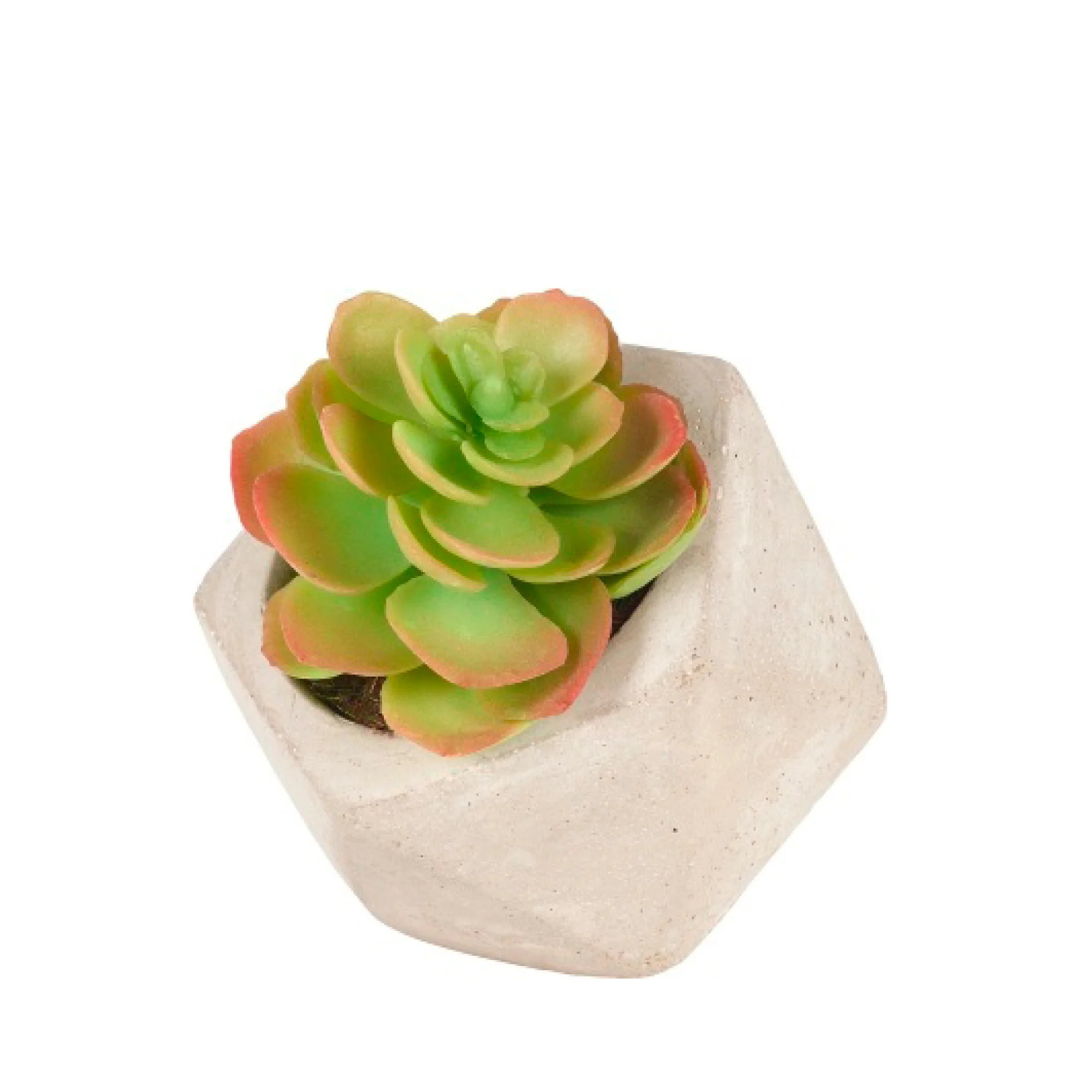 Succulente Artificielle Echeveria in vaso